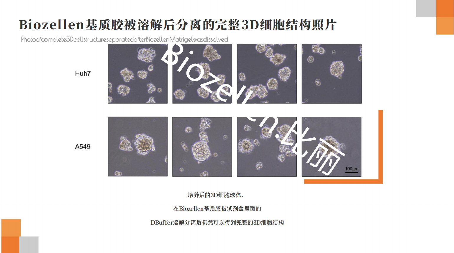 香港宝典免费资料大全